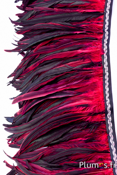 Kraag Haan zweep - lange. veeren 25-32 cm - zwart-donkerrood